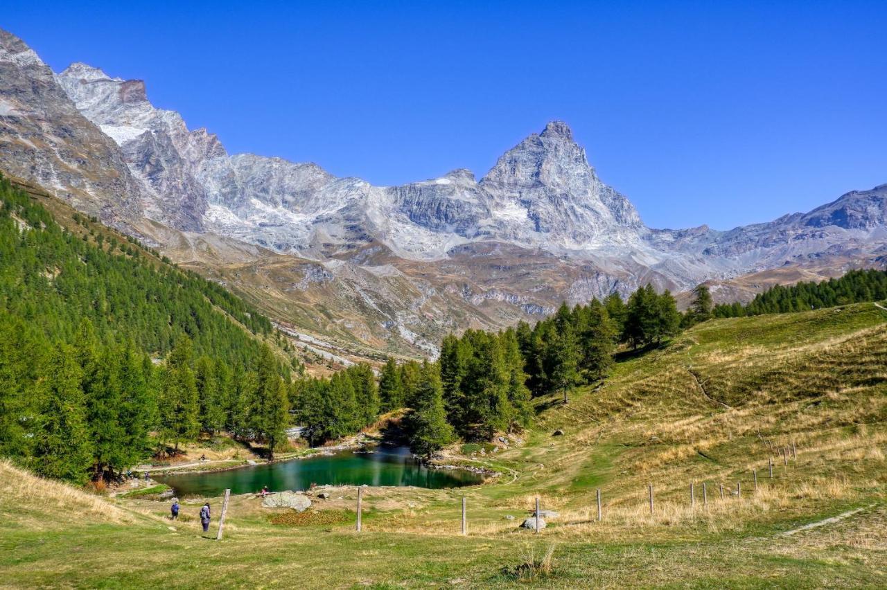 La Lupa Apartment - In The Heart Of Aosta With Car Box Exteriör bild